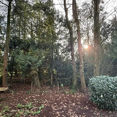Veluwe - On Park De Eyckenhoff - Private Gardens&saunas On Nationaal Park De Veluwe - Design With Cosy Setting * Putten