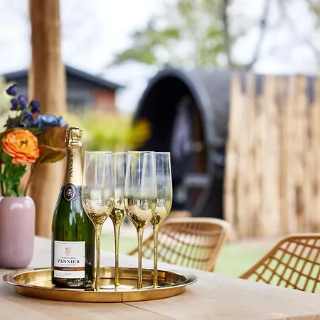Appartement Veluwe - On Park De Eyckenhoff - Private Gardens&saunas On Nationaal Park De Veluwe - Design With Cosy Setting Putten