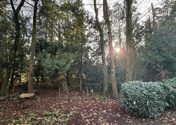 Veluwe - On Park De Eyckenhoff - Private Gardens&saunas On Nationaal Park De Veluwe - Design With Cosy Setting * Putten